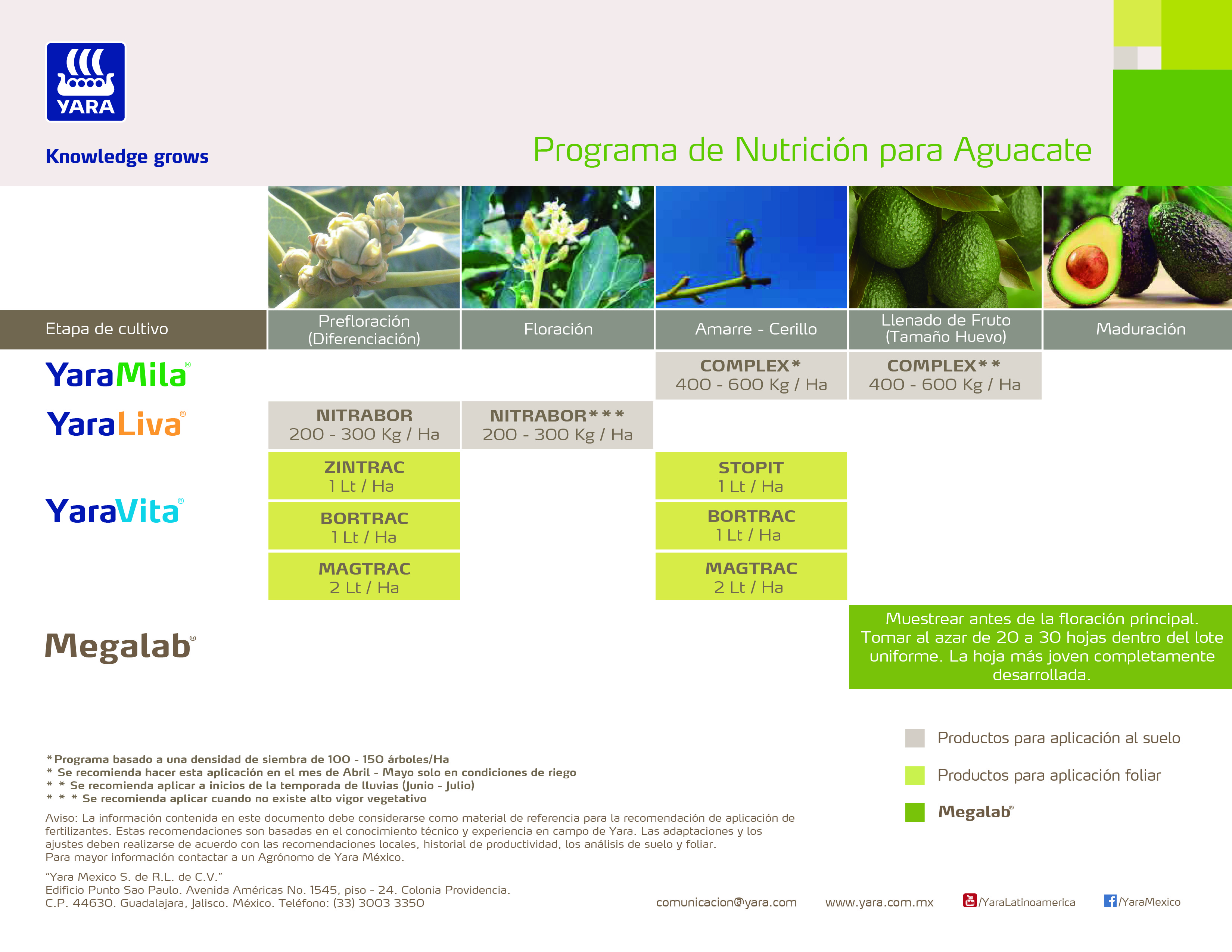 Programa Nutricional Yara Aguacate