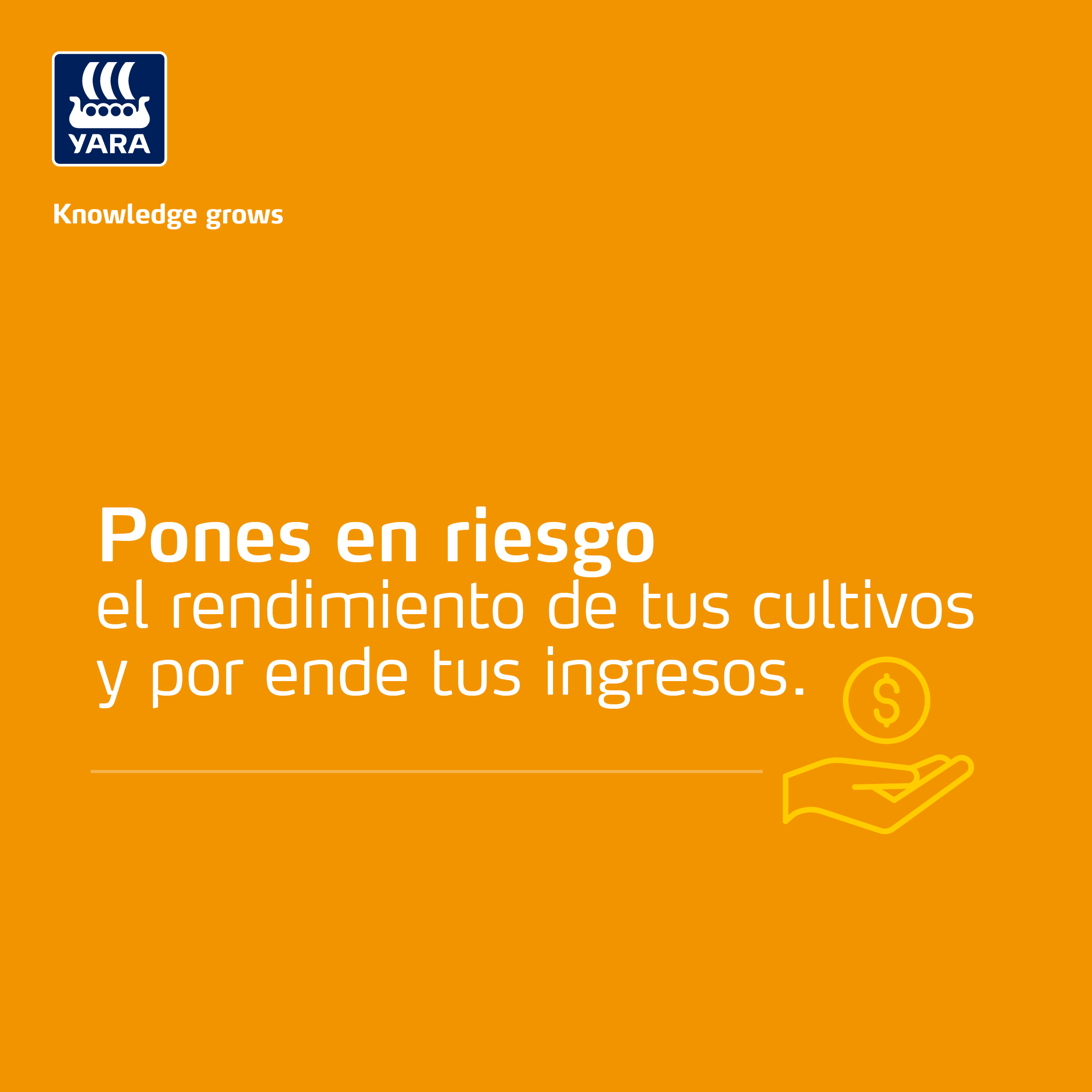 Procedencia de productos falsos