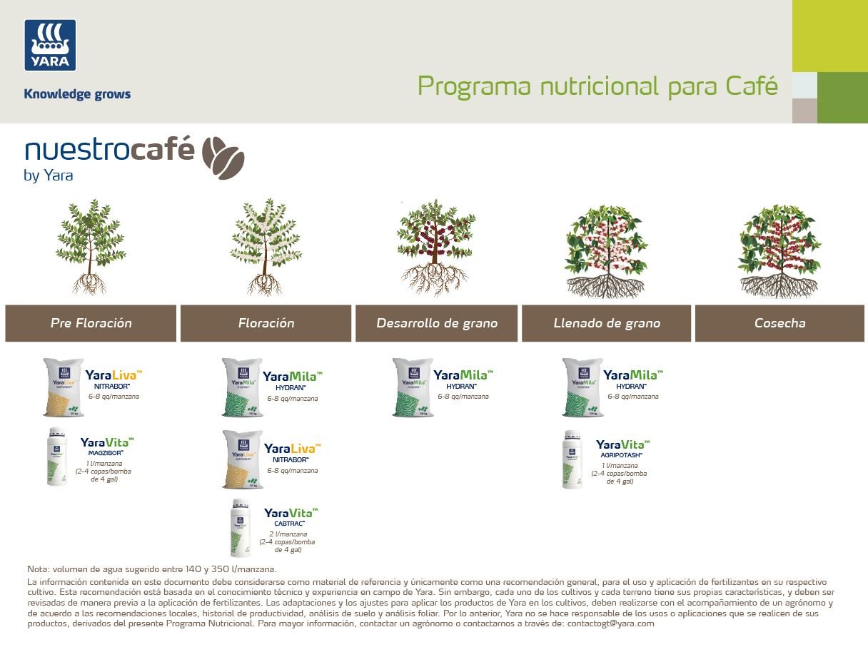 Nuestro Café Pre Floración PN