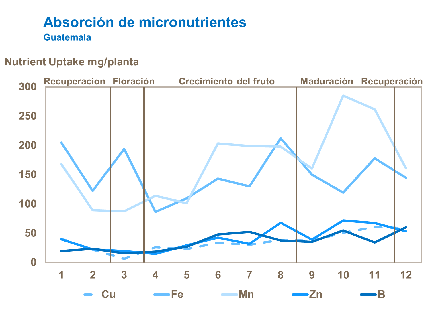 Absorción de micronutrientes