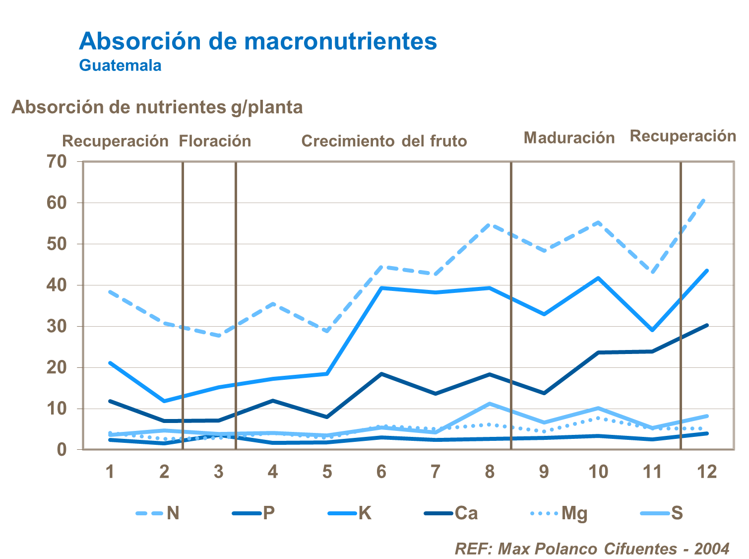 Absorción de macronutrientes