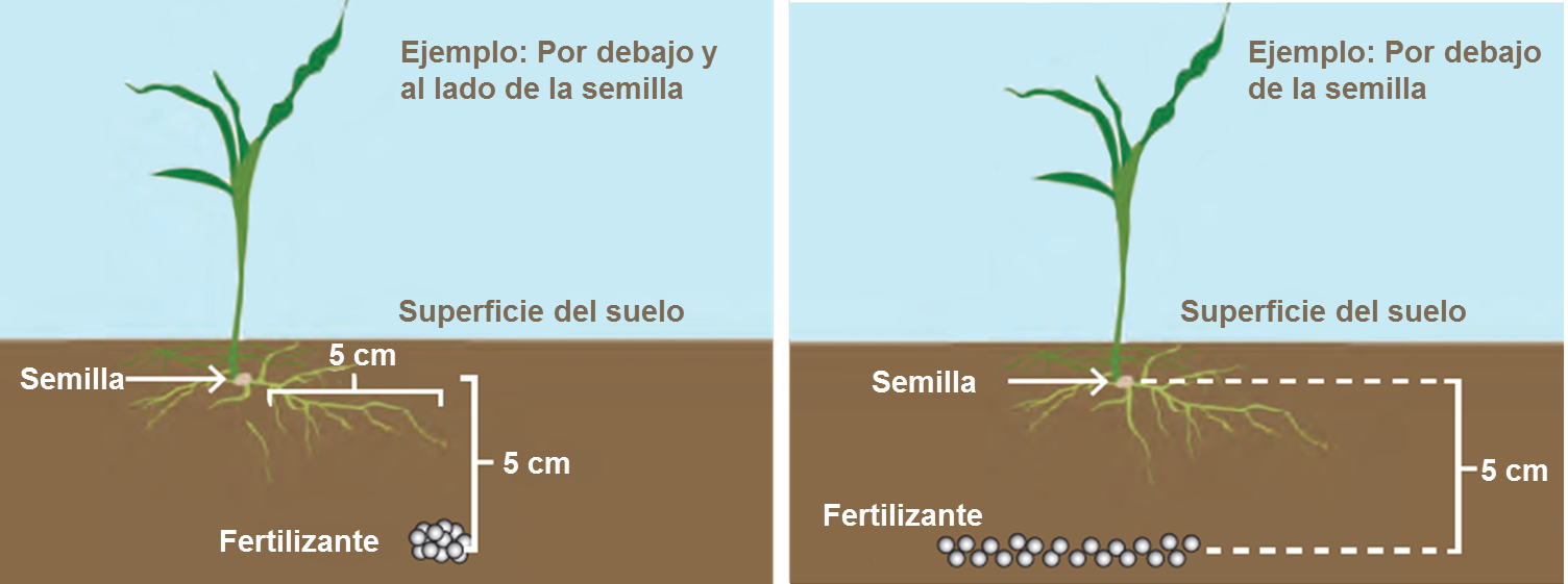 Colocación de fertilizantes