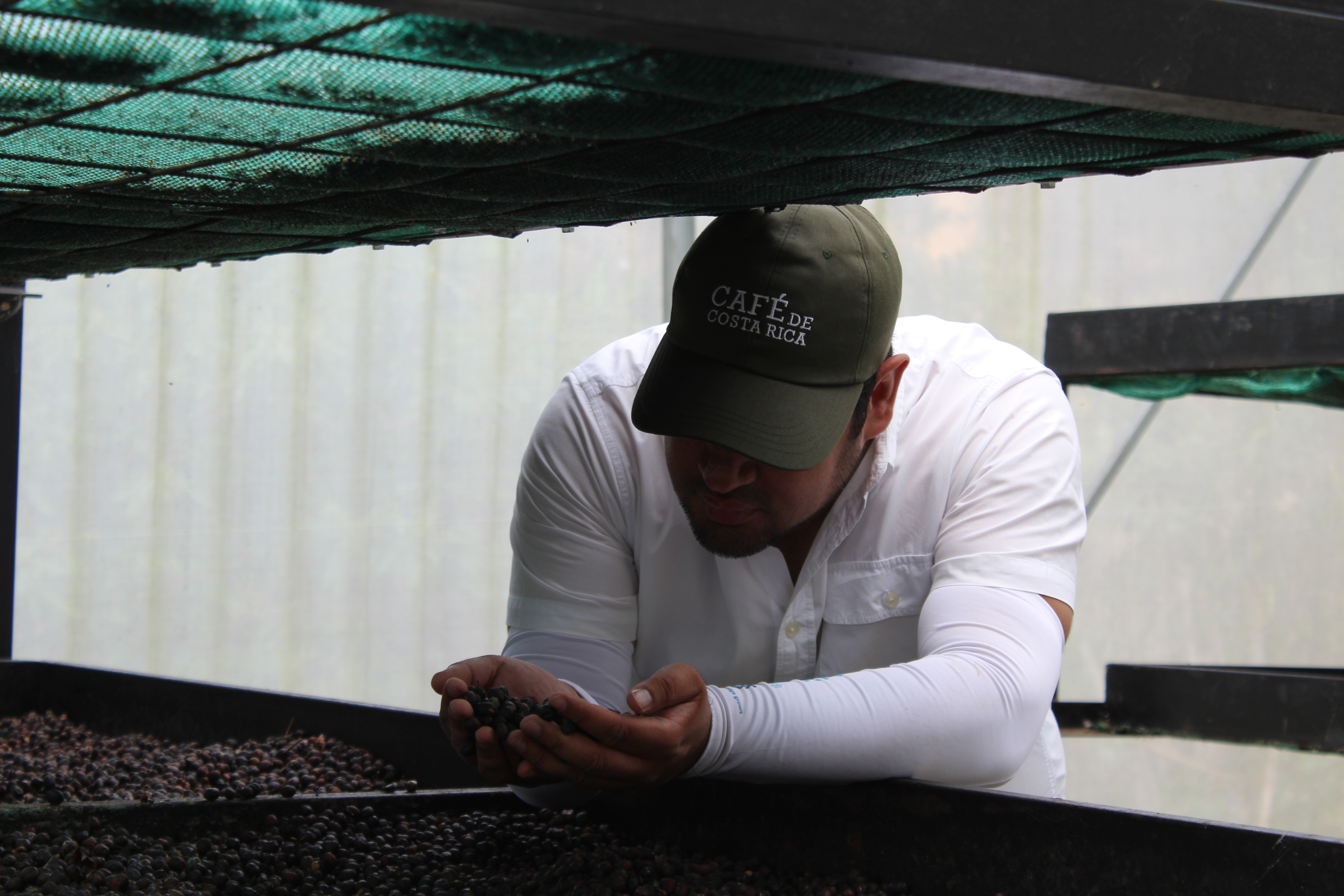 Juan Marin productor de cafe Yara Costa Rica