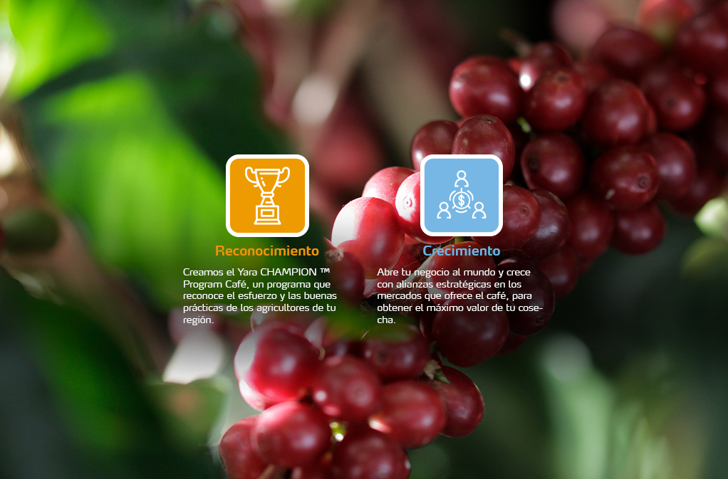 Café como estilo de vida mobile 