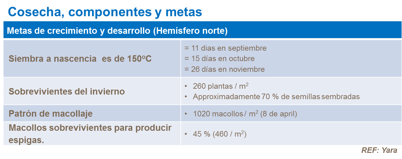 Cosecha, componentes y metas en trigo