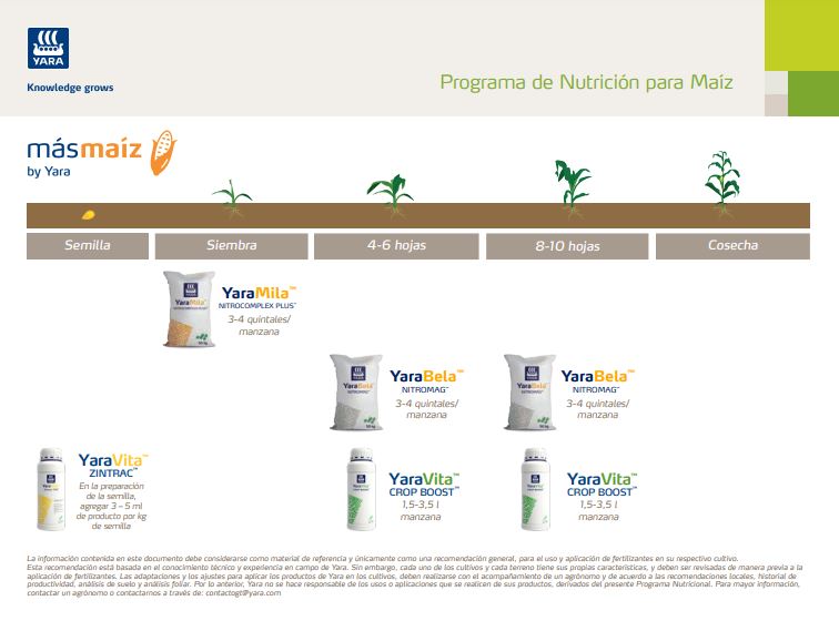 Programa de Nutrición Maíz